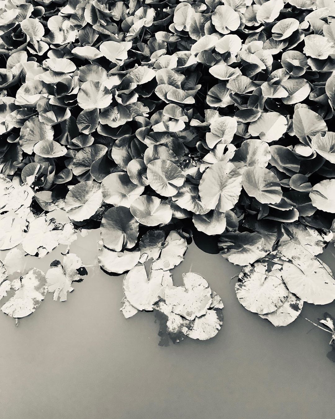 Photo: Stel Anemogiannis, Creative Photography and Design, published by Instagram user @_art_photo_graphic