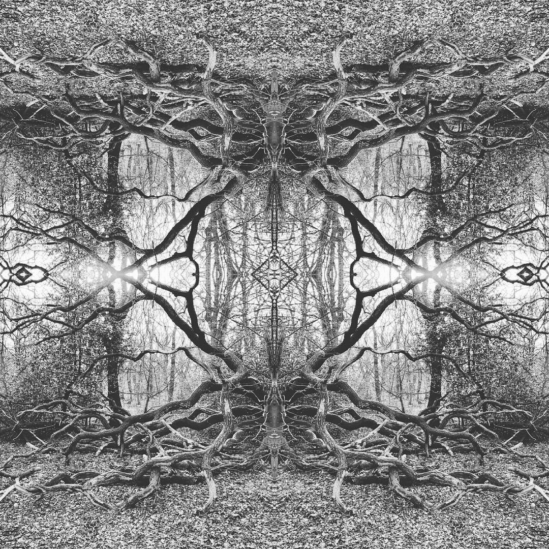 Photo: Stel Anemogiannis, Creative Photography and Design, published by Instagram user @_art_photo_graphic