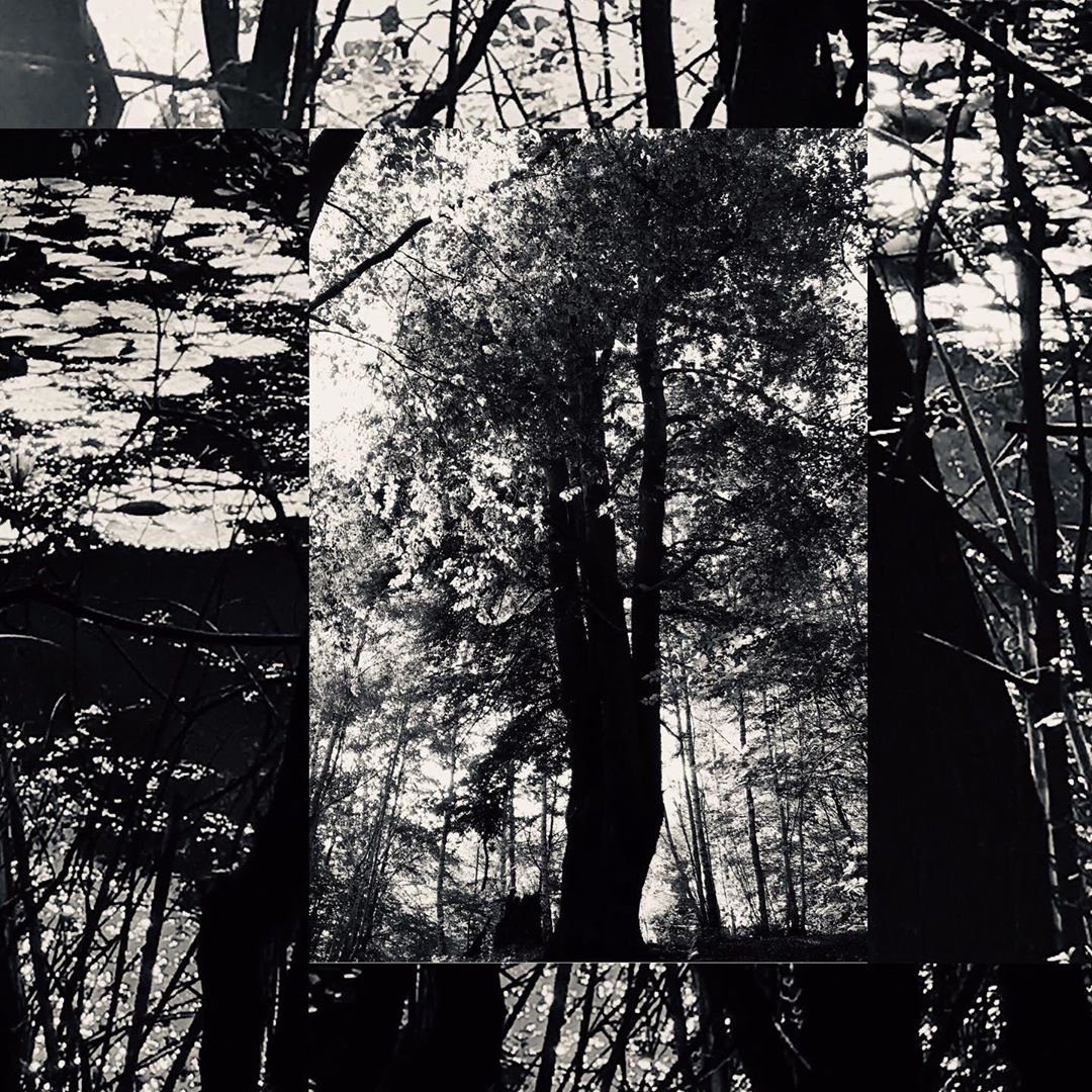 Photo: Stel Anemogiannis, Creative Photography and Design, published by Instagram user @_art_photo_graphic