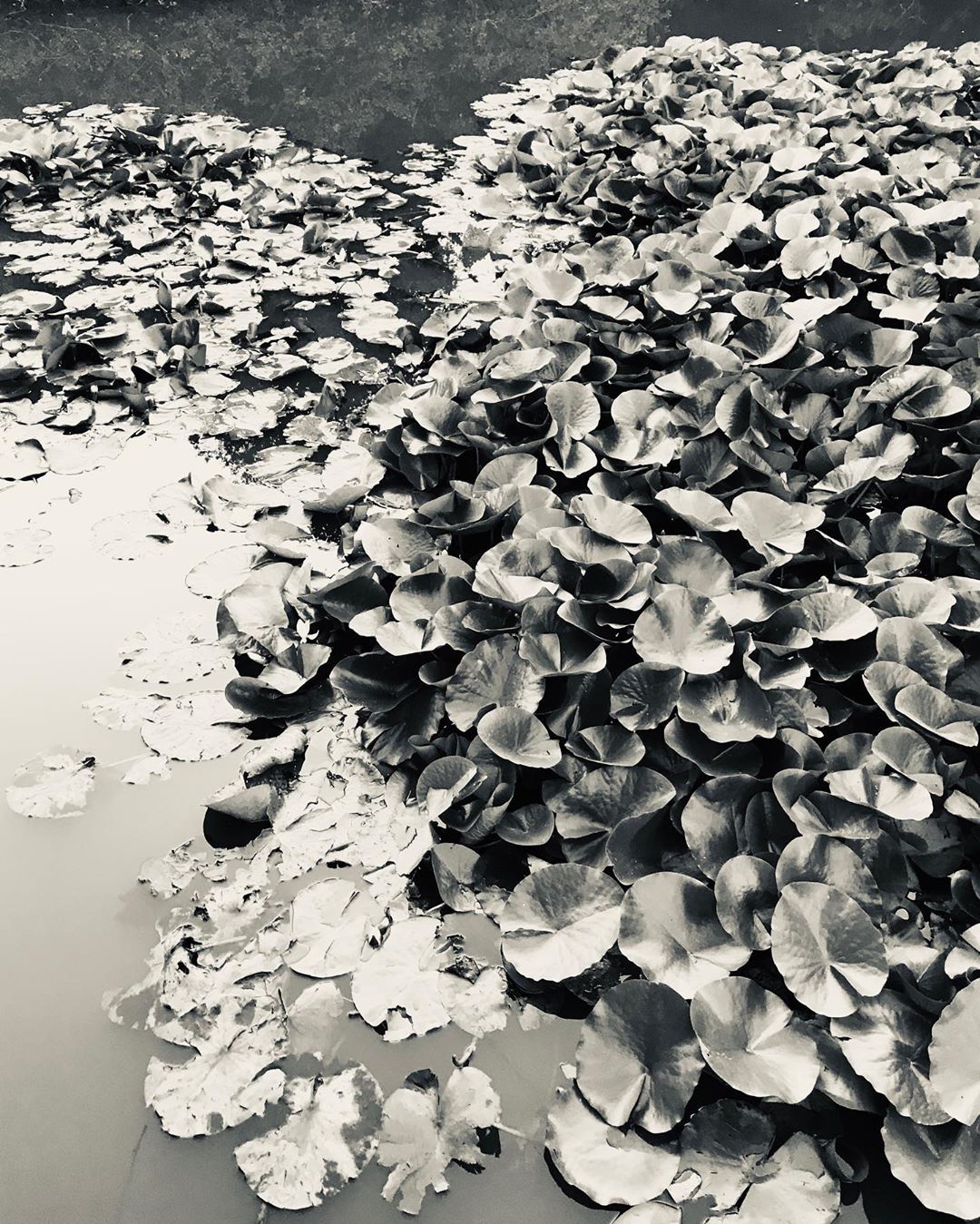 Photo: Stel Anemogiannis, Creative Photography and Design, published by Instagram user @_art_photo_graphic