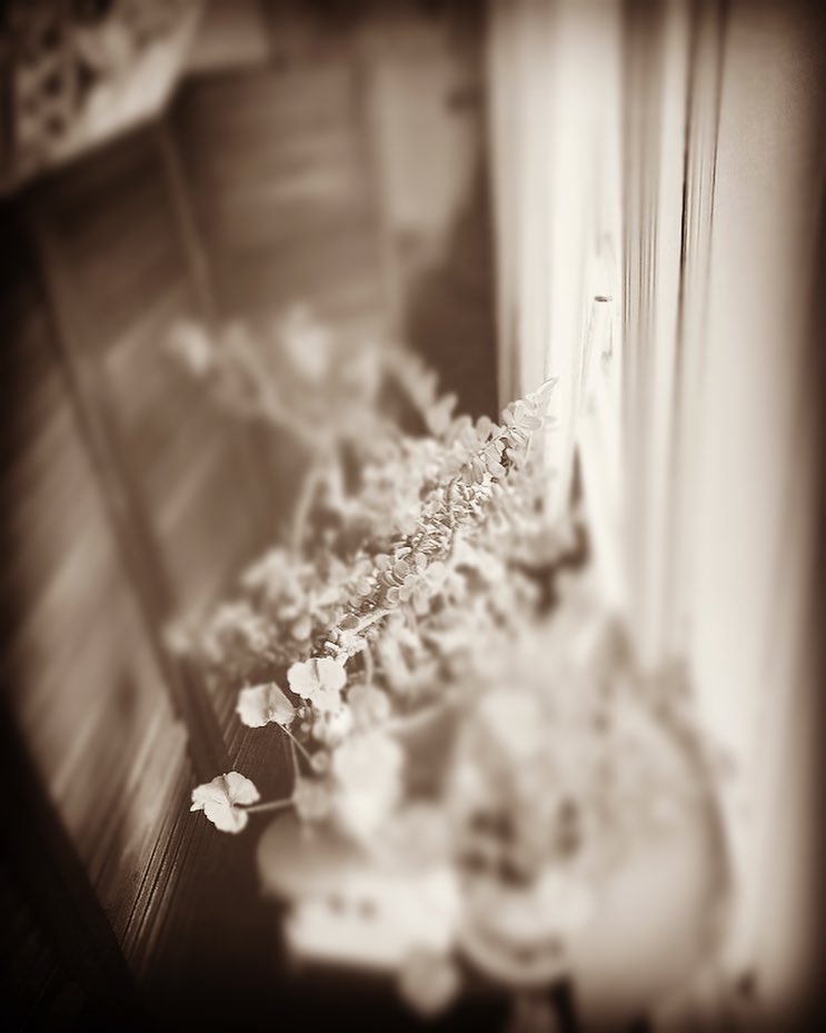 Photo: Stel Anemogiannis, Creative Photography and Design, published by Instagram user @_art_photo_graphic