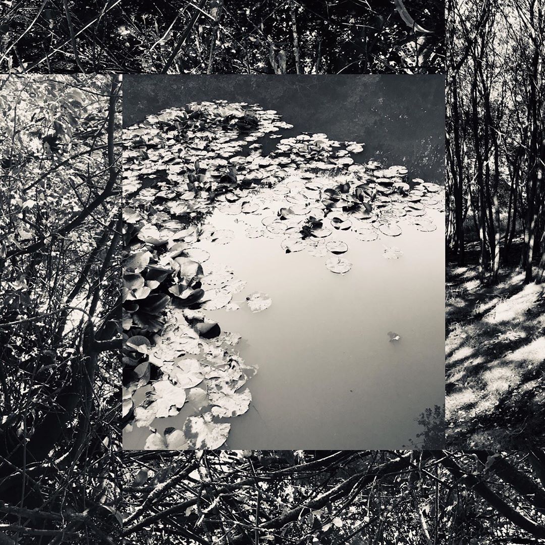 Photo: Stel Anemogiannis, Creative Photography and Design, published by Instagram user @_art_photo_graphic