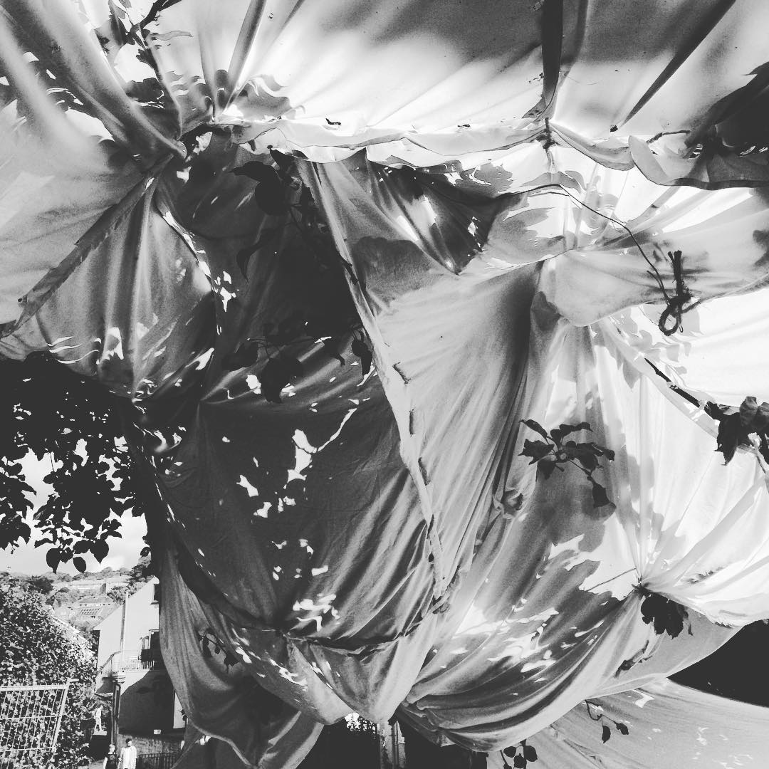 Photo: Stel Anemogiannis, Creative Photography and Design, published by Instagram user @_art_photo_graphic