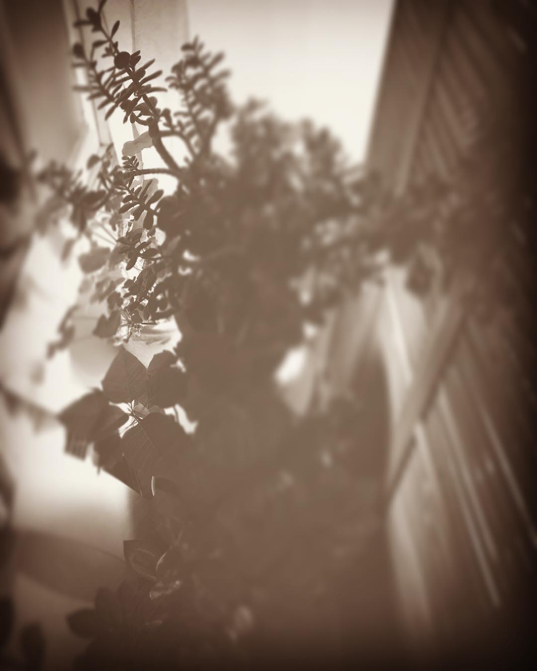 Photo: Stel Anemogiannis, Creative Photography and Design, published by Instagram user @_art_photo_graphic