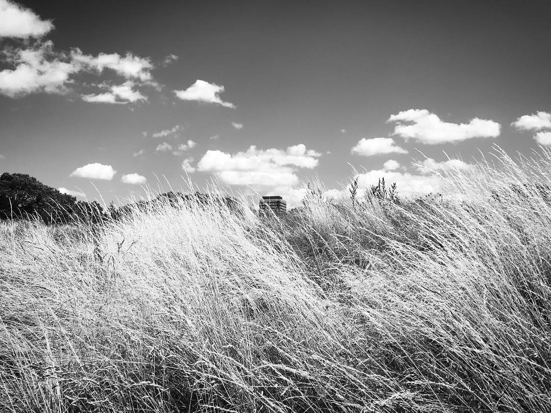 Photo: Stel Anemogiannis, Creative Photography and Design, published by Instagram user @_art_photo_graphic