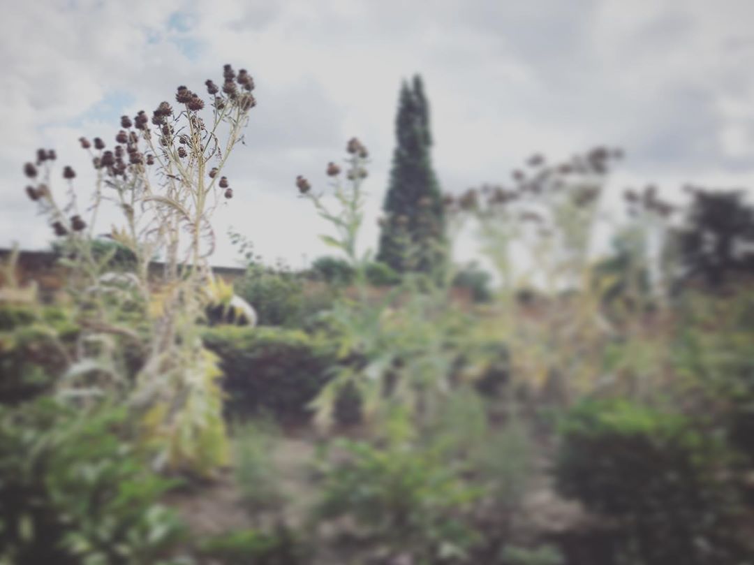 Photo: Stel Anemogiannis, Creative Photography and Design, published by Instagram user @_art_photo_graphic