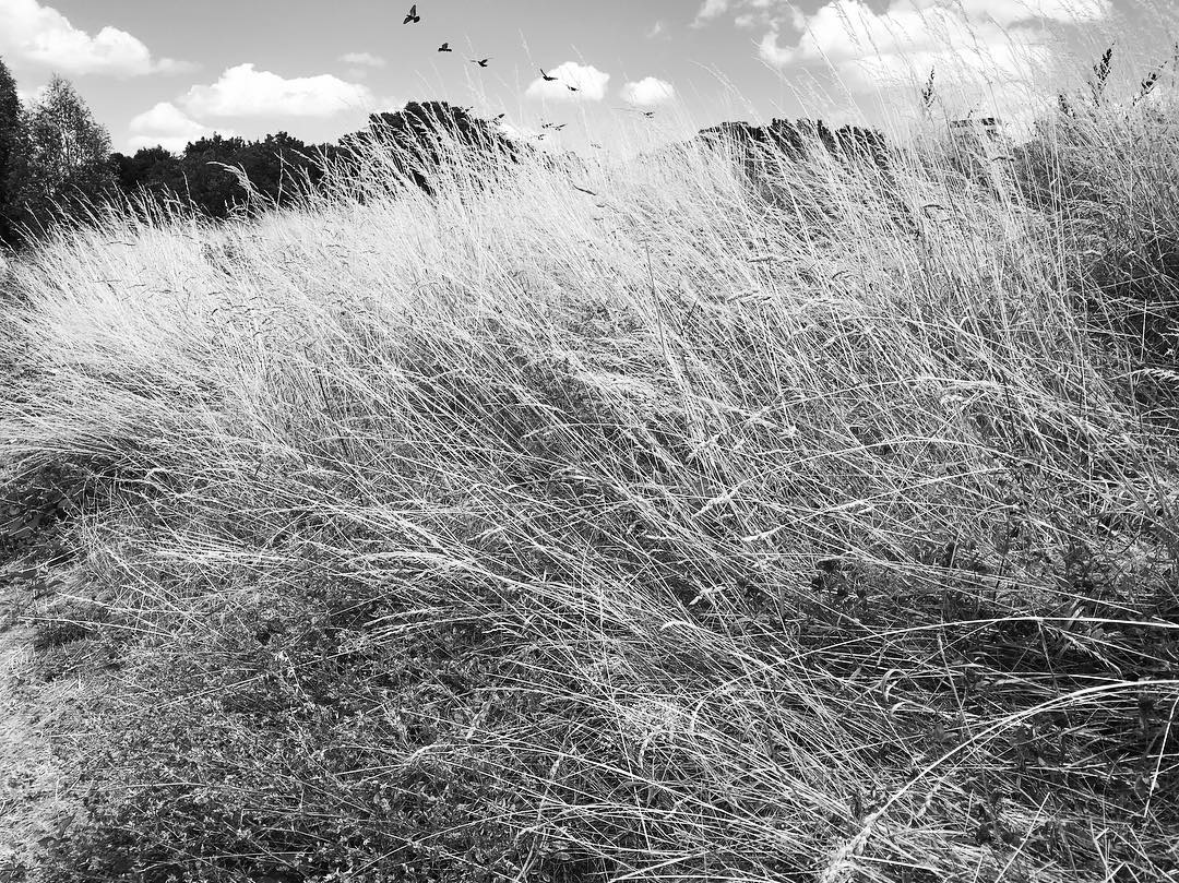 Photo: Stel Anemogiannis, Creative Photography and Design, published by Instagram user @_art_photo_graphic
