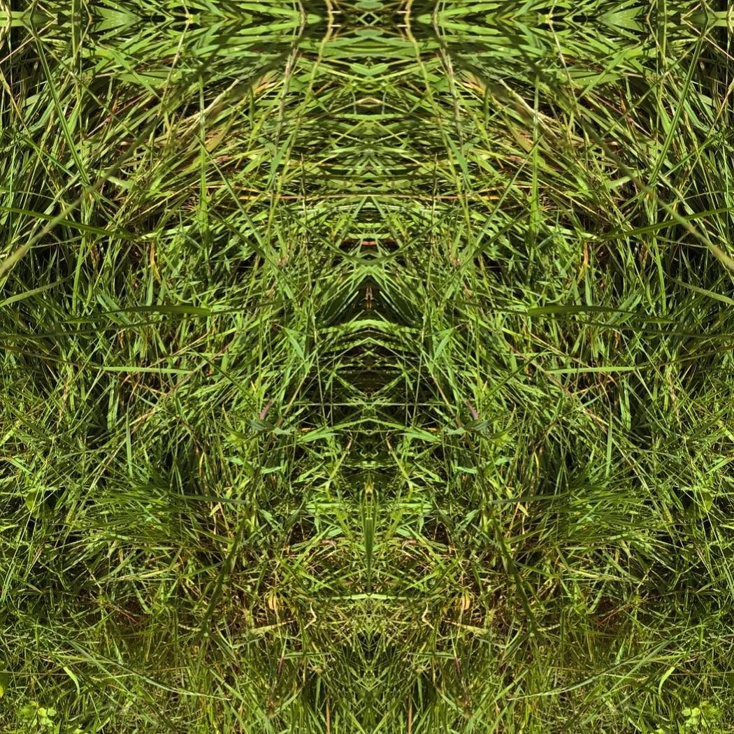 Photo: Stel Anemogiannis, Creative Photography and Design, published by Instagram user @_art_photo_graphic